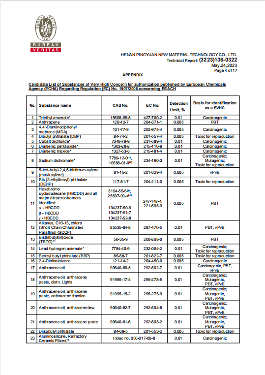 RGPPS REACH 報告（gào） 3
